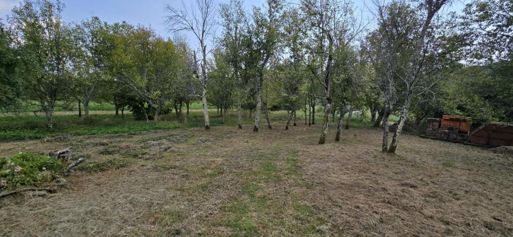 ISTRIA, CEROVLJE - Old house with a large garden