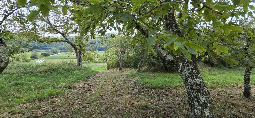 ISTRIA, CEROVLJE - Old house with a large garden