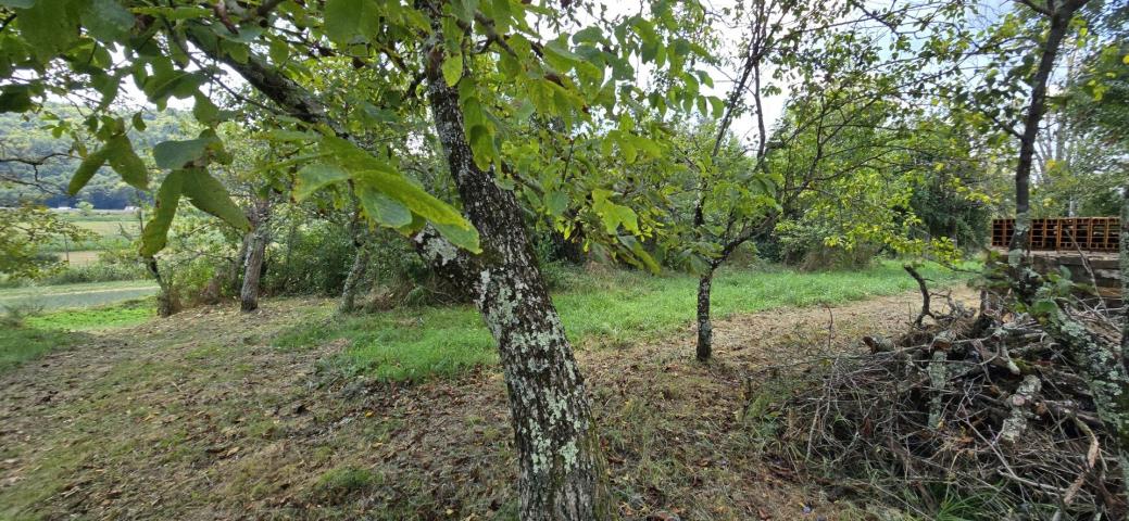 ISTRA, CEROVLJE - Starina s velikom okućnicom