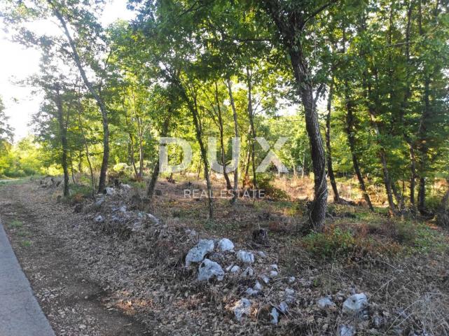 ISTRIEN, MOTOVUN - Geräumiges Grundstück mit Baugenehmigung