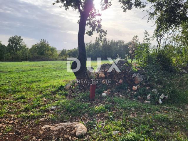 ISTRIA, VIŠNJAN - Spacious building plot in a quiet location