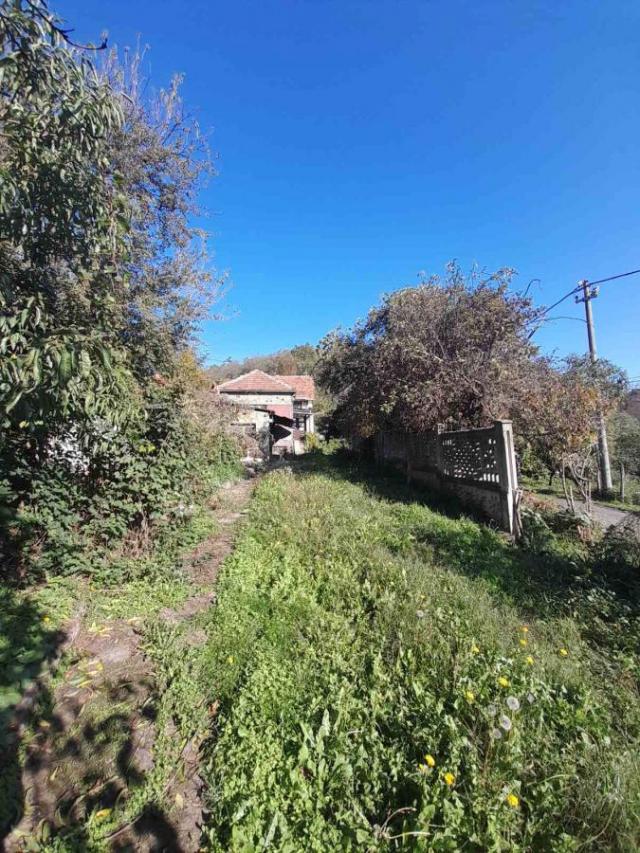 Rural household in Glavinci