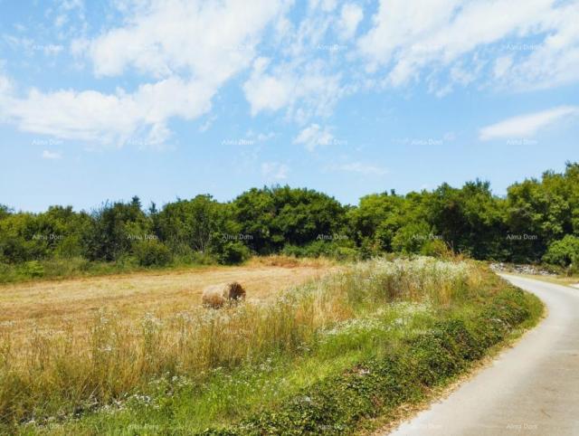 Građevinsko zemljište Prodaje se građevinsko zemljište, 504 m2, vile s bazenom u općini Svetvinčenat