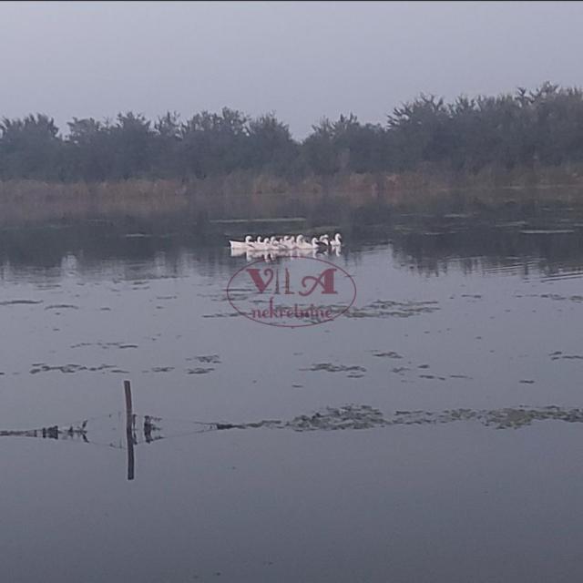 Srbobran, Turija, Lep plac sa izlazom na kanal DTD