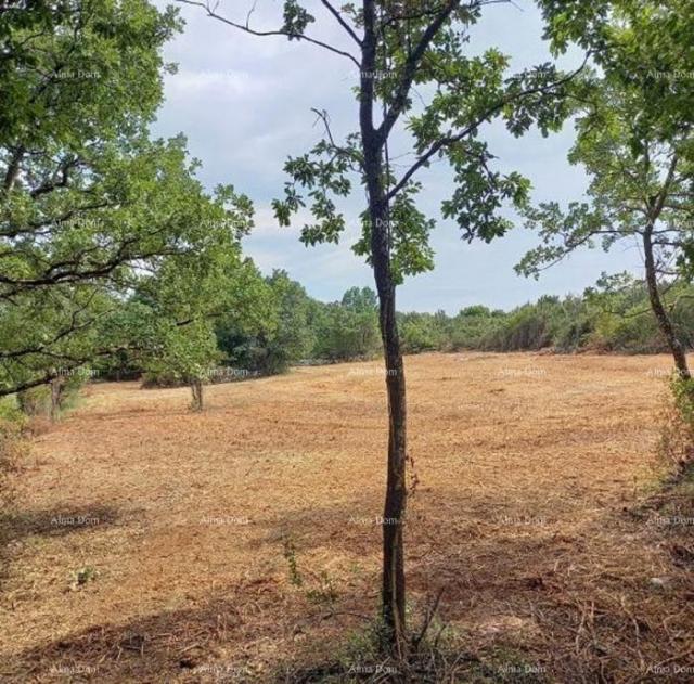 Landwirtschaftsgrundstück Ackerland zum Verkauf in der Nähe von Rovinj, Rovinjsko selo