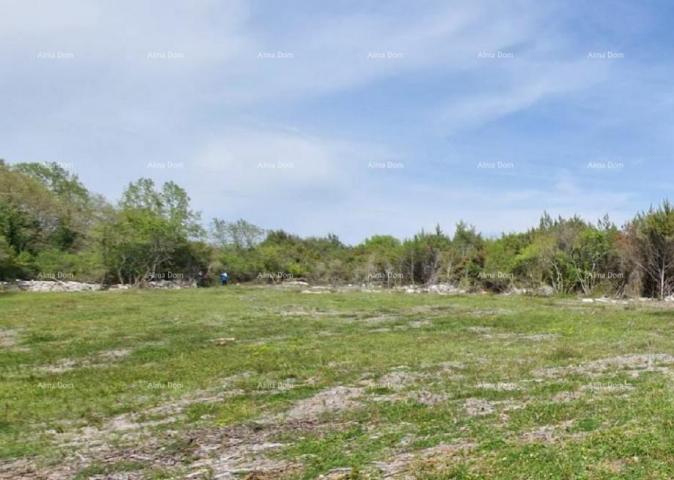 Agricultural land Agricultural land for sale in the vicinity of Rovinj, Rovinjsko selo