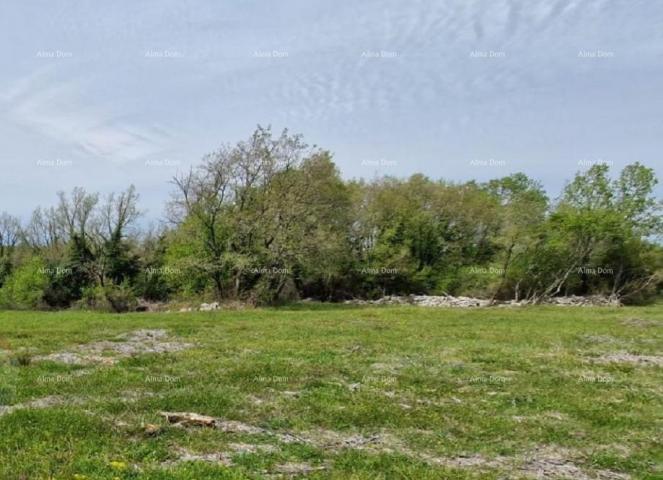 Landwirtschaftsgrundstück Ackerland zum Verkauf in der Nähe von Rovinj, Rovinjsko selo