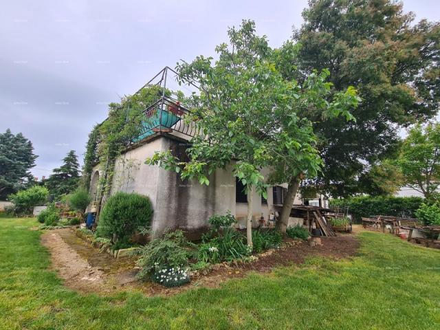 Haus Haus mit großem Garten zu verkaufen, Jadreški