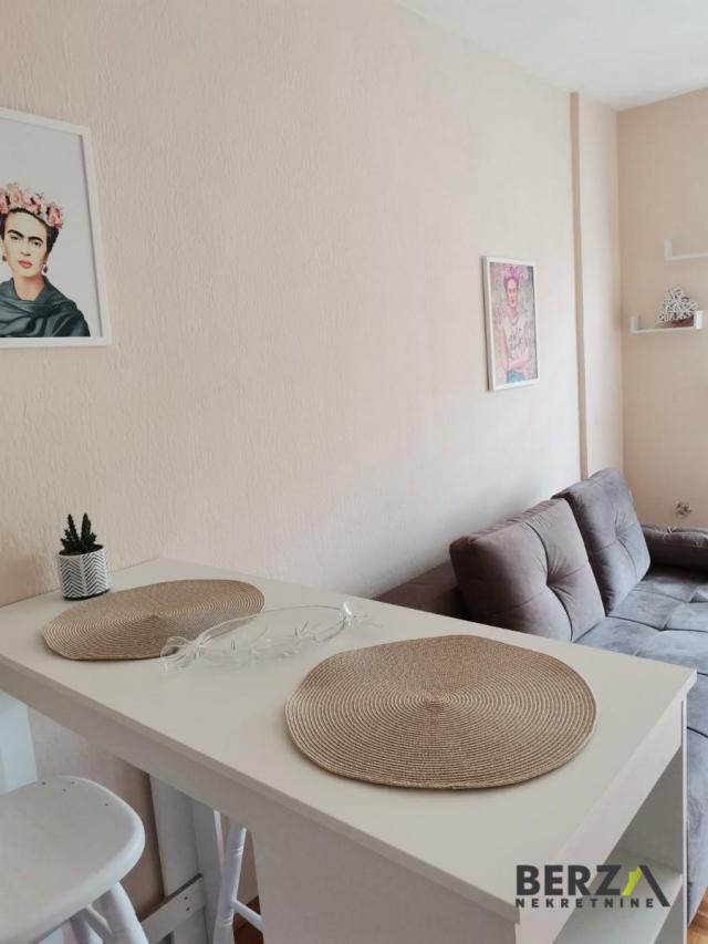 KOMPLETNO NEMEŠTENA GARSONJERA NA NOVOM NASELJU, PET FRIENDLY