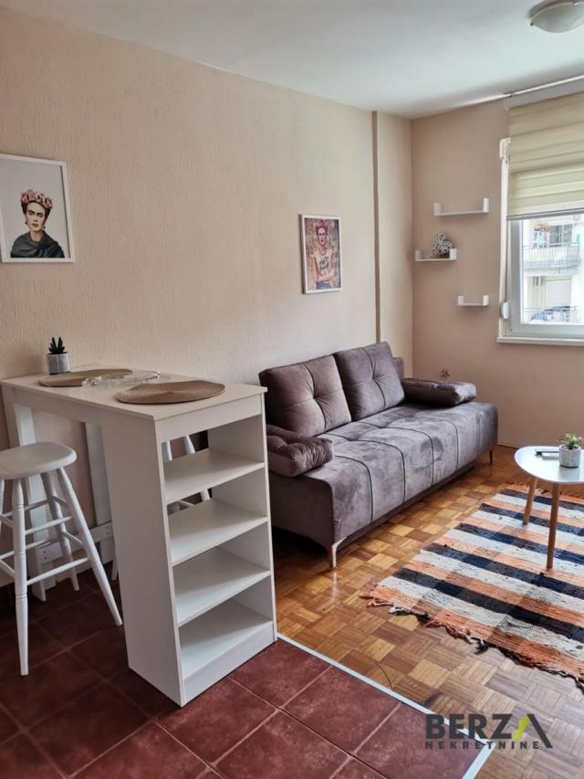 KOMPLETNO NEMEŠTENA GARSONJERA NA NOVOM NASELJU, PET FRIENDLY