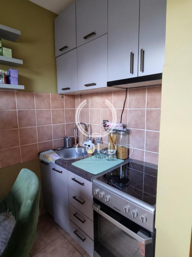 Izdajemo 1. 5 stan u Futoškoj ulici, Novi Sad, 350e, Pet Friendly ID#8292