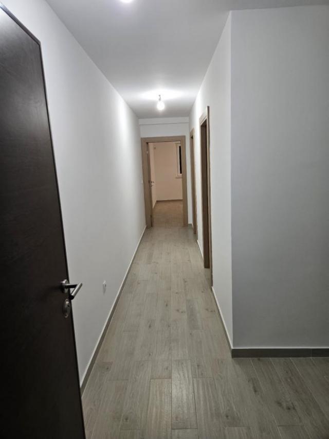 Zemun, Altina, Pavla Vujisića, 55m2