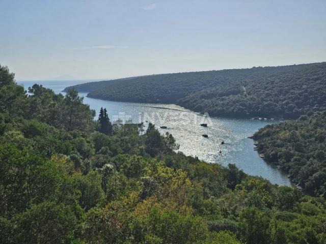 Krnički Porat, šuma 200m od mora i 40m do urbanizirane zone