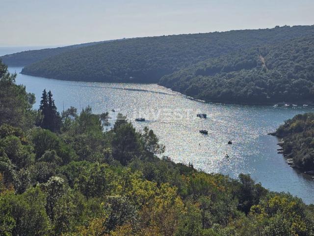 Krnički Porat, šuma 200m od mora i 40m do urbanizirane zone