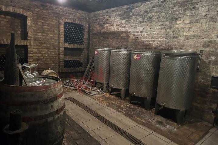 
				Biznis - Vinarija na Paliću na 3. 5 ha
			