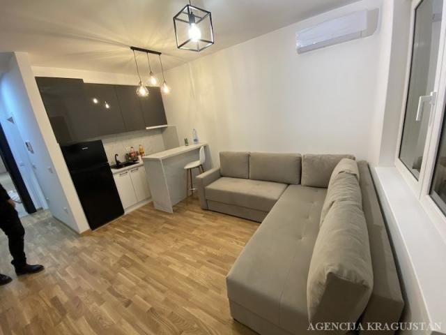 Izdavanje, Stan, 26. 00m2 , Centar