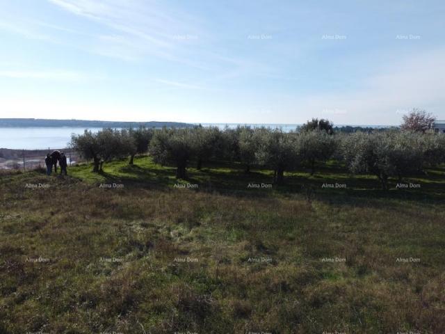 Wohnung Wohnung mit Dachterrasse - Residenz Novi Home Novigrad