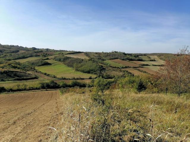 Uknjižen plac 2517m2 na predivnom mestu za vikend kuću - Bukovac