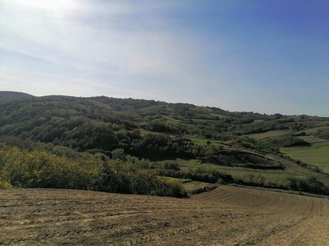 Uknjižen plac 2517m2 na predivnom mestu za vikend kuću - Bukovac