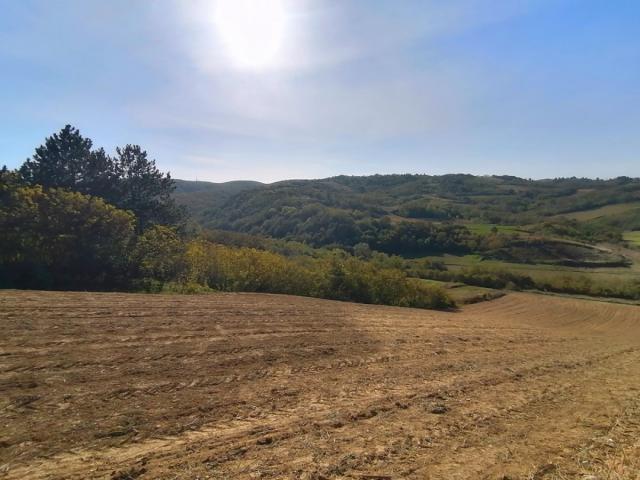 Uknjižen plac 2517m2 na predivnom mestu za vikend kuću - Bukovac