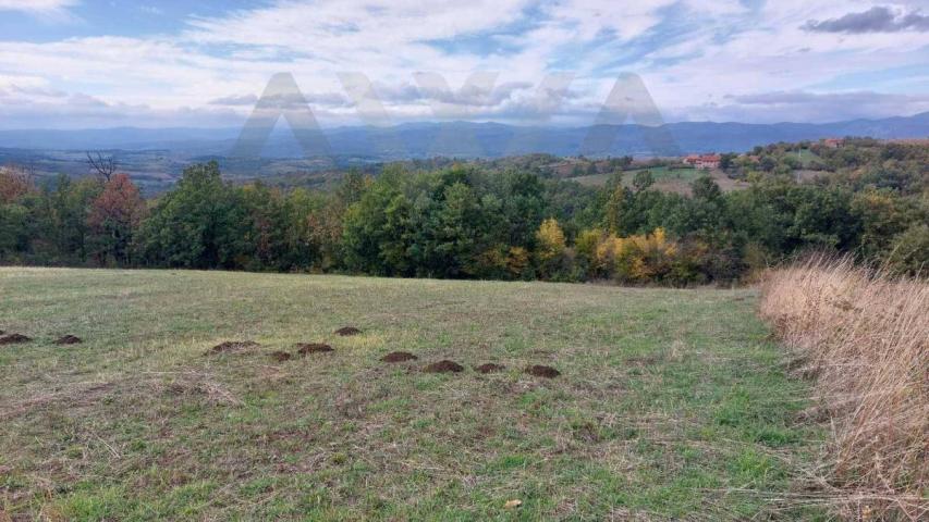 Valakonje - Boljevac  Seosko domacinstvo , dve kuce, dve garaze, stala... sa zemljom od oko 9ha