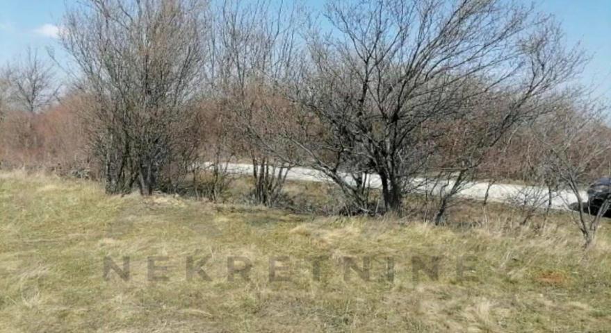 Mirovo- podnozje planine Rtanj , građevinsko zemljiste 1024m2