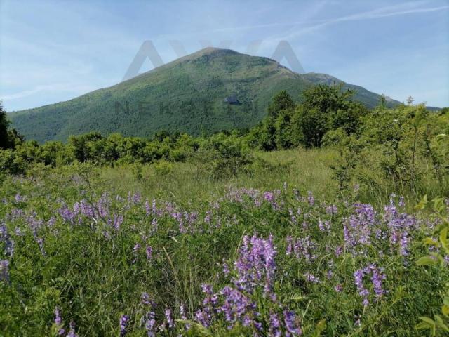 Mirovo- podnozje planine Rtanj , građevinsko zemljiste 1024m2