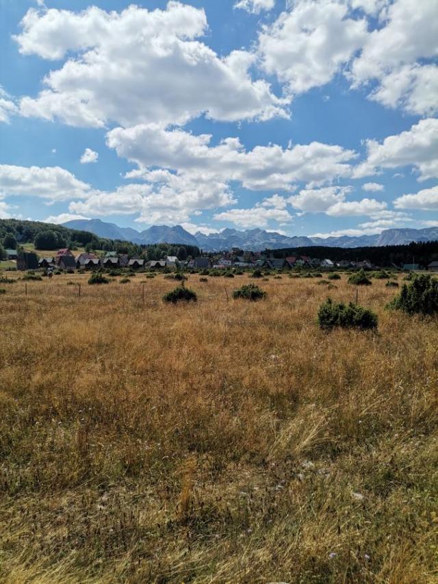 Plot for Sale 35850 m2, Žabljak, 1 km from Town Center