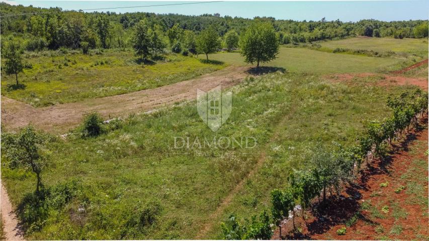 Land Tinjan, 2.485m2