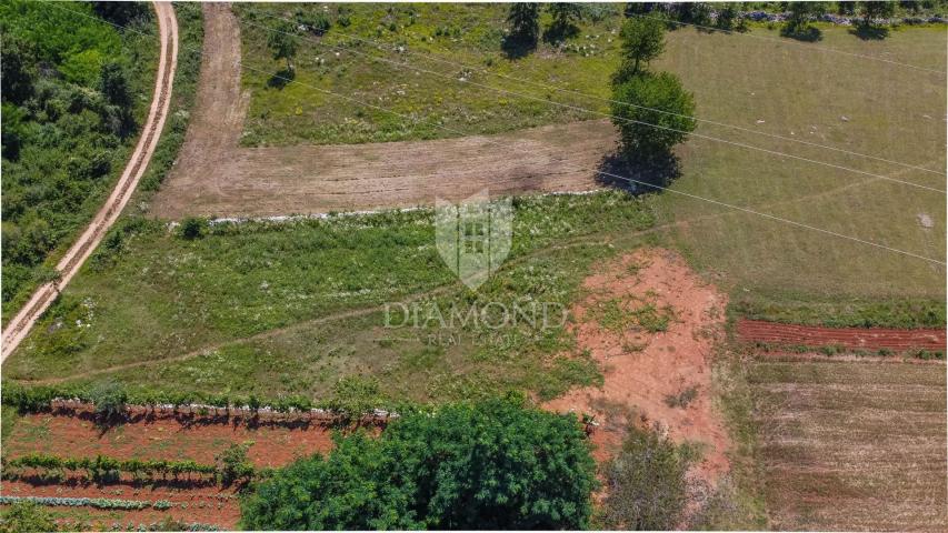 Land Tinjan, 2.485m2