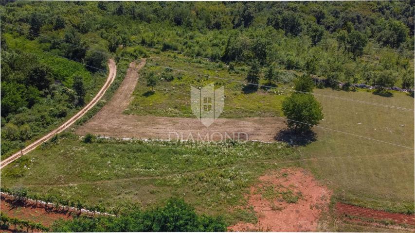 Land Tinjan, 2.485m2