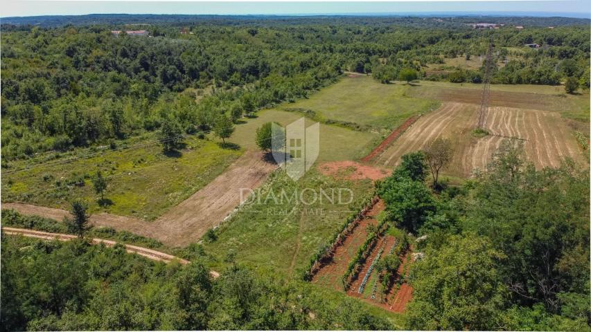 Land Tinjan, 2.485m2