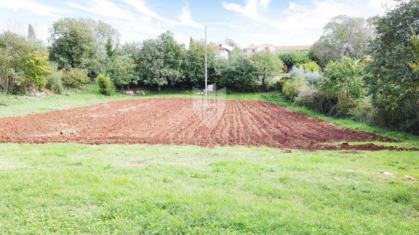 Poreč, Umgebung, Grundstück am Rande der Bauzone