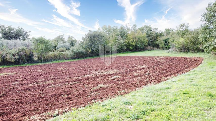 Poreč, Umgebung, Grundstück am Rande der Bauzone