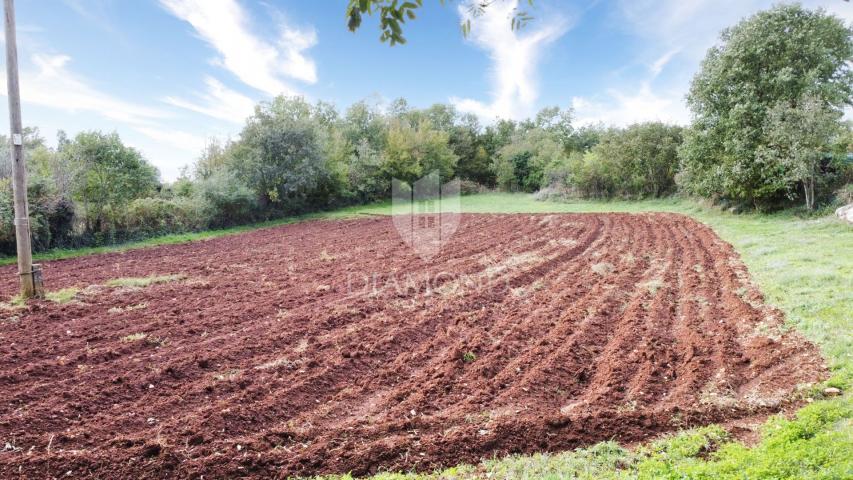 Poreč, okolica, prostrano zemljište na rubu građevinske zone