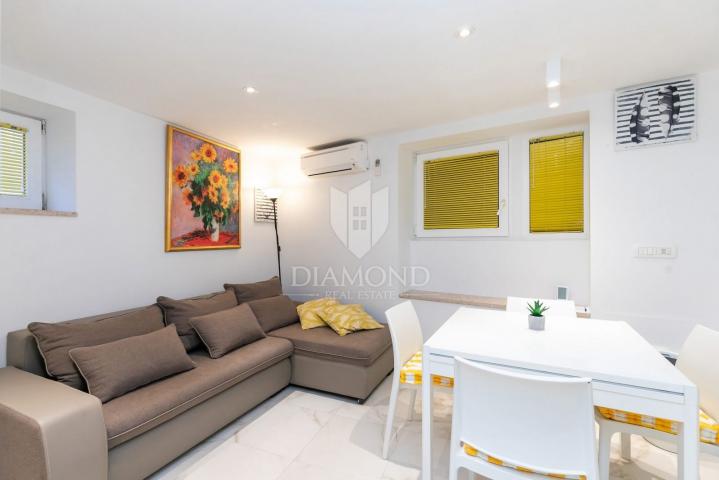 Rovinj, stari grad, apartman u prizemlju s terasom