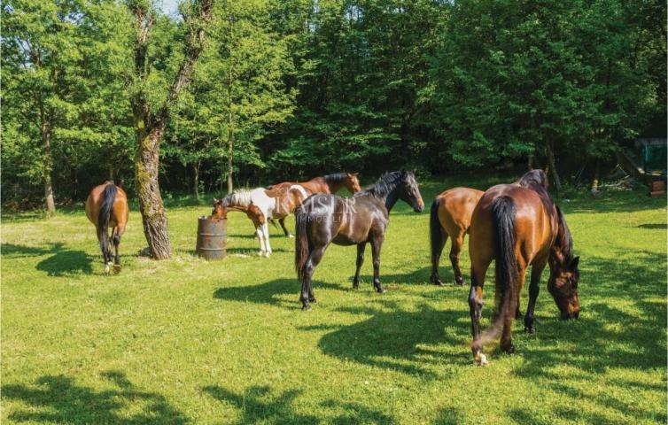 Mošćenička Draga - prilika, kuća s bazenom i okućnicom 980 m2