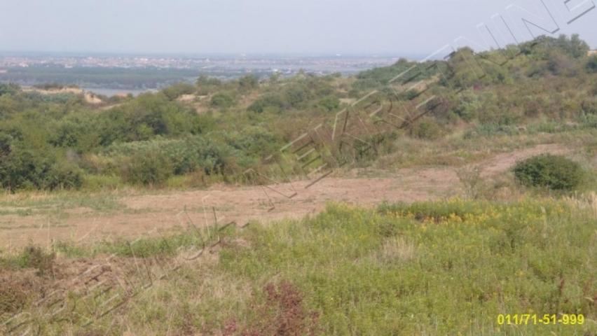 plac Višnjička banja, Nedeljka Košanina, 4, 7 ara