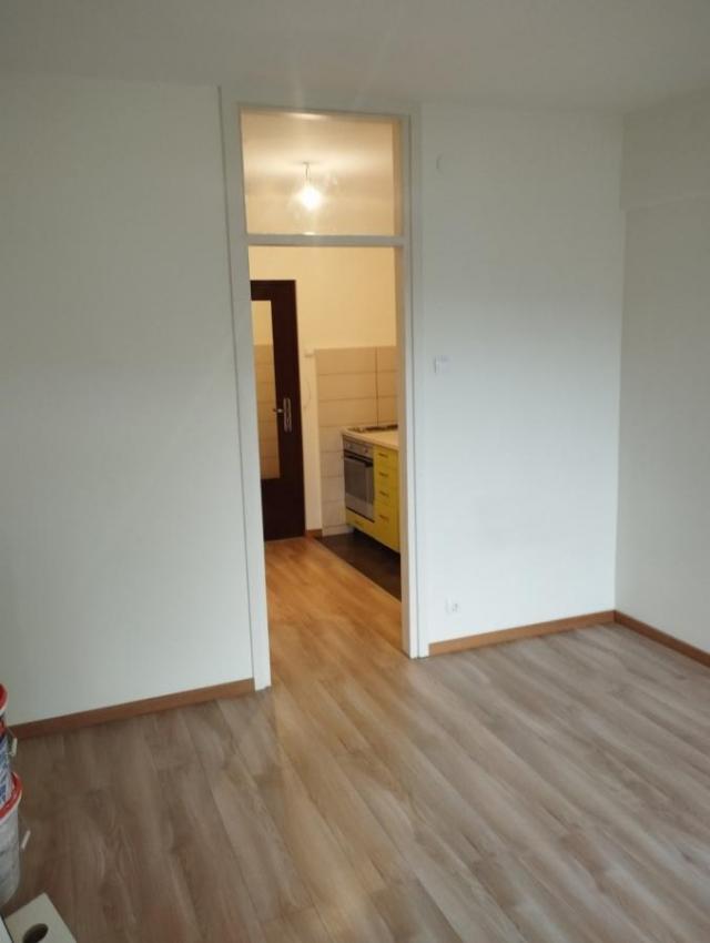 Karaburma, Husinskih rudara, 22m2, renoviran