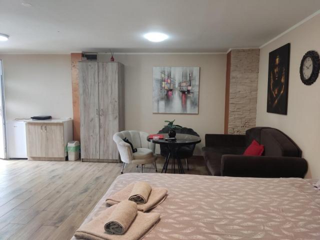 GARSONJERA (APARTMAN) - BUBANJ - 35m2