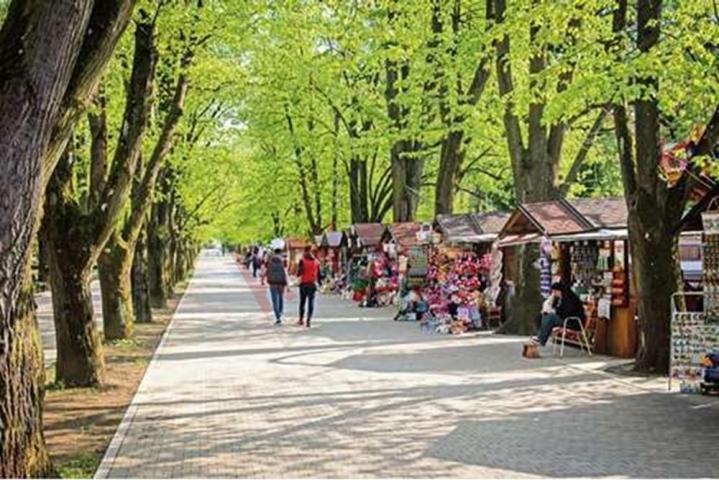 
				Prodaja dvosobnog stana, Vrnjačka banja
			