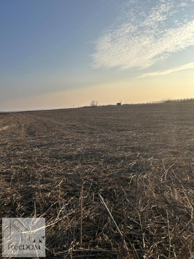 Građevinski placevi na Banstolu 1000m2