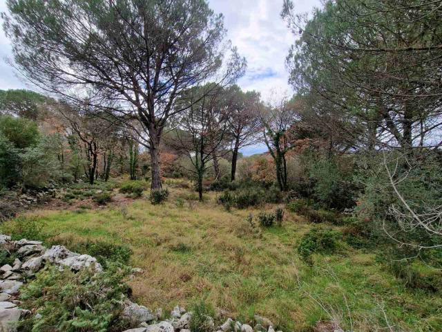Plac povrsine 1150m2 , Zagora-Opstina Kotor. 
