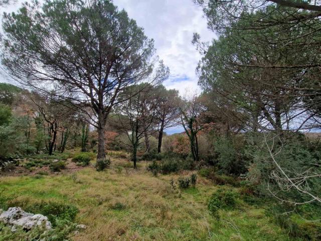 Plac povrsine 1150m2 , Zagora-Opstina Kotor. 