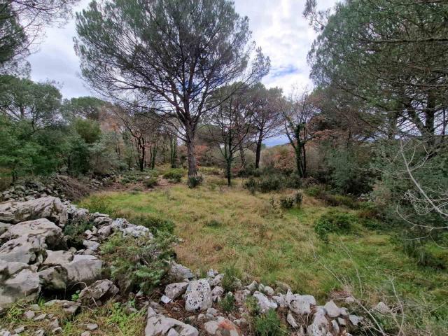 Plac povrsine 1150m2 , Zagora-Opstina Kotor. 