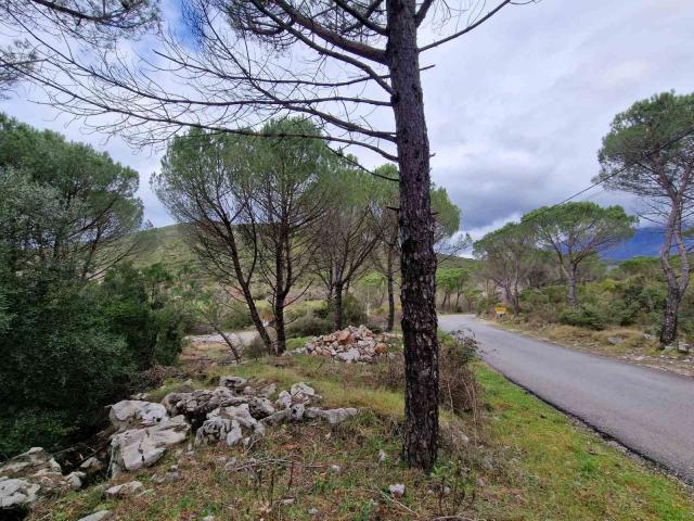 Plac povrsine 1150m2 , Zagora-Opstina Kotor. 