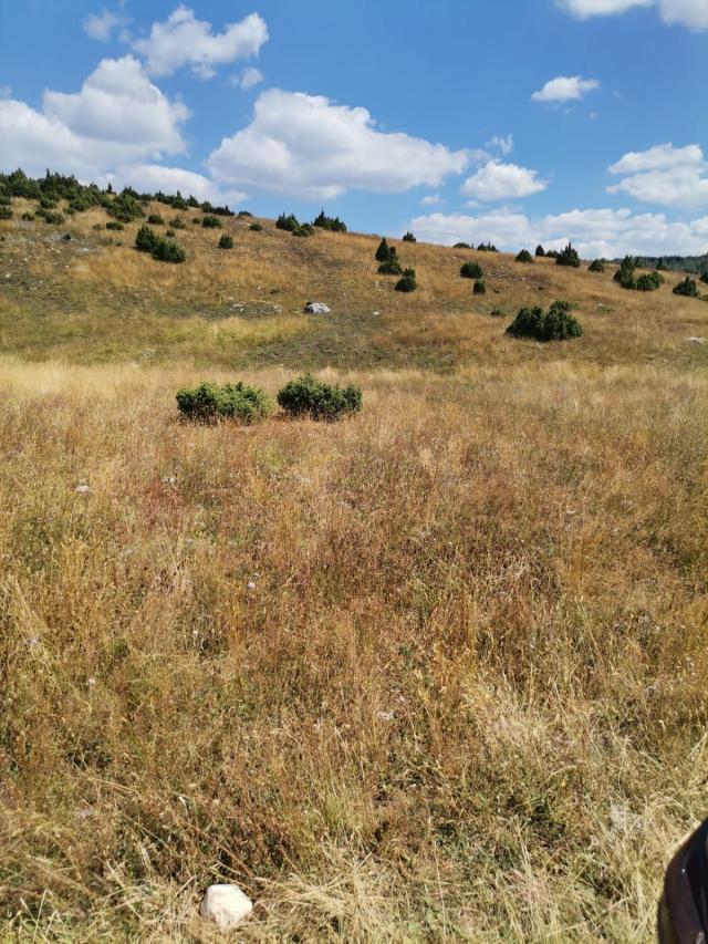 Zemljište 36.000 m², Žabljak