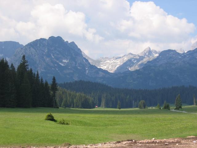 Zemljište 6.056 m² na Macanskoj poljani, Žabljak