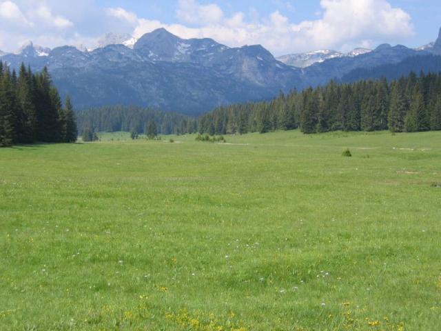 Zemljište 6.056 m² na Macanskoj poljani, Žabljak