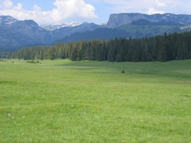 Zemljište 6.056 m² na Macanskoj poljani, Žabljak